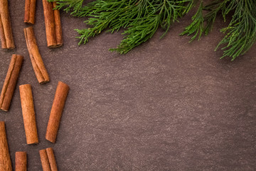 Cinnamon sticks and green branch on light brown background 