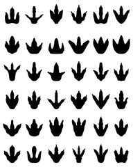Black footprints of dinosaurs on a white background, vector