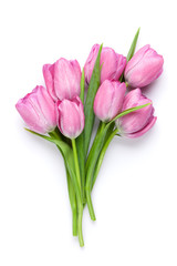 Fresh pink tulip flowers