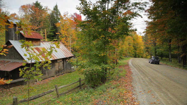 Weathered building on the side of a rural, gravel road lined with autumn-colored maple trees with a sign that reads MAPLE SYRUP. 