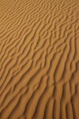 Yellow sand of Sahara