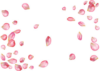 Abstract background with flying pink rose petals.