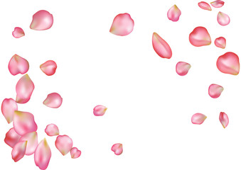 Abstract background with flying pink rose petals.