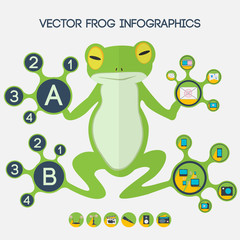 vector frog infographics 02