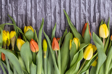 Wiosenny bukiet kwiatów z żółtych i czerwonych tulipanów oraz żonkili  na szarym tle z motywem muru i cegły