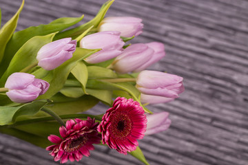 Wiosenny bukiet kwiatów z fioletowych tulipanów i różowych gerber na szarym tle z motywem muru...