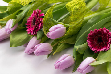Wiosenny pastelowy bukiet z liliowych tulipanów i różowych gerber na białym tle z jutową jasnozieloną taśmą ozdobną - obrazy, fototapety, plakaty