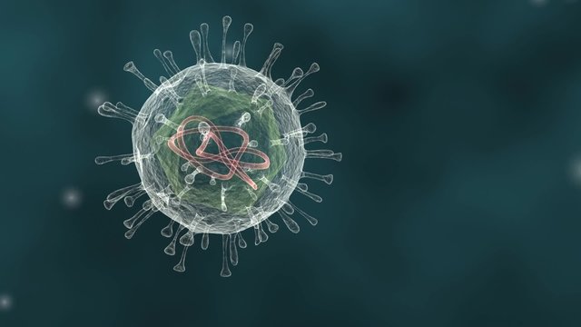 A looping animation of a single Virus floating depicted with the surrounding protein envelope encapsulating the inner icosahedral capsid that contains the viral genome