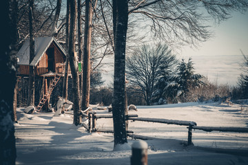 Tree house in forest in winter