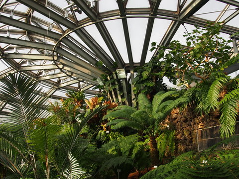 Tropenhaus, Botanischer Garten, Berlin