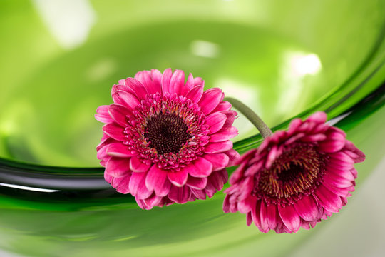 R&oacute;żowe gerbery w zielonej misie ze szkła