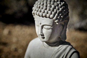 Budda Statue Head