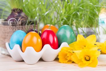 Wielkanocne dekoracje z kolorowymi jajami wielkanocnymi pisankami w ceramicznym stojaku, żonkilami i zielonymi roślinami w tle
