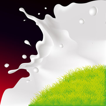 vector white splash milk illustration on dark red background ands green grass in front