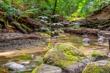 Hellmühler Fließ bei Hellmühle - Lanke, Brandenburg
