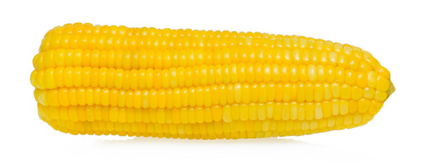 Sweet corn isolated on white background.