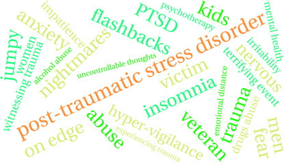 Post-Traumatic Stress Disorder Word Cloud