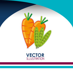 vegetarian food design 