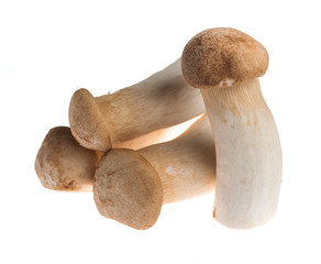 King Oyster mushrooms isolated on white background