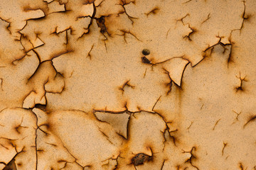 texture of grunge background iron rusty artistic wall