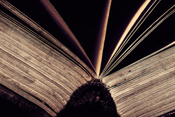 Spine of the open book macro