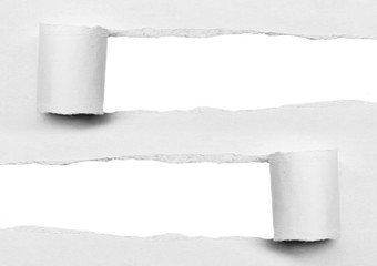 Torn paper, isolated on white background.