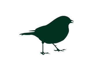 Bird Silhouette  - green