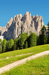Dolomite peaks Rosengarten in Val di Fassa, Italy Alps