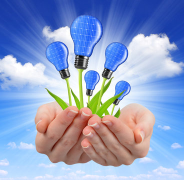 Eco energy light bulbs in hands