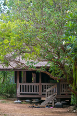 Peace wood rural house in the forest with green tree cool environment.