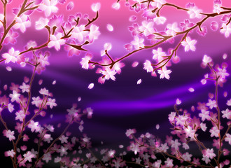 Obraz na płótnie Canvas 夜桜