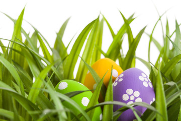 Easter Eggs with flower on Fresh Green Grass