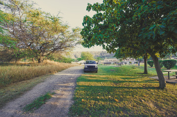 Obraz premium 自然と車