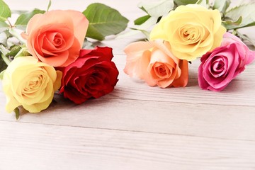 Roses. Roses of love. Photo of roses,roses on wood background. Beautiful roses, roses gift.