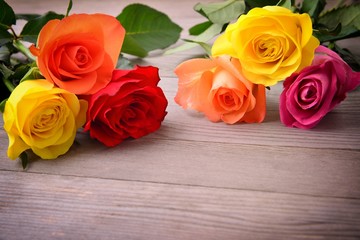 Roses. Roses of love. Photo of roses,roses on wood background. Beautiful roses, roses gift.
