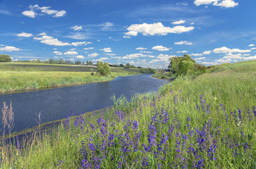 Summer landscape with river