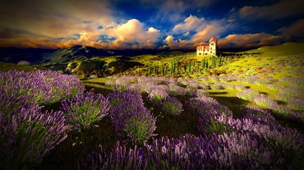 Fototapeta na wymiar Castle towering 9ver lavender fields