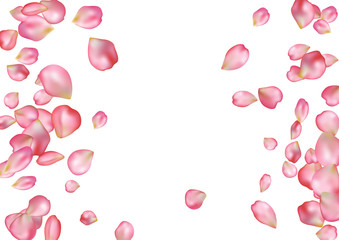 Abstract background with flying pink rose petals.