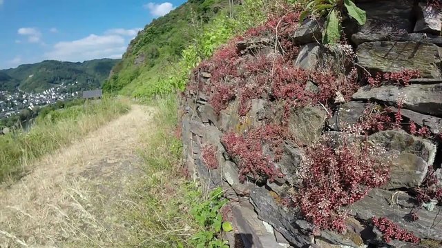 Apolloweg bei Valwig im Moseltal