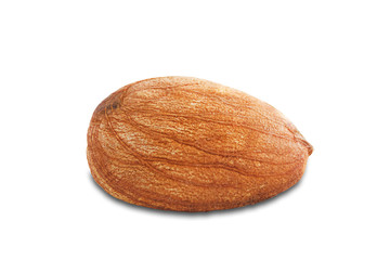 One almond isolated on white background