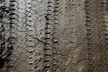 tire tracks on the dirt protector