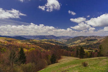 Naklejka na ściany i meble Mountain valley with clouds in Carpathians, Ukraine