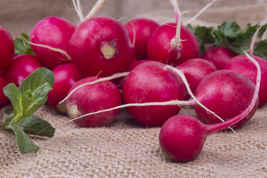 bunch of red radish close