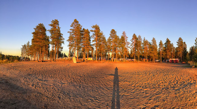 Warm Sunset in Swedish Camping under Pine Trees