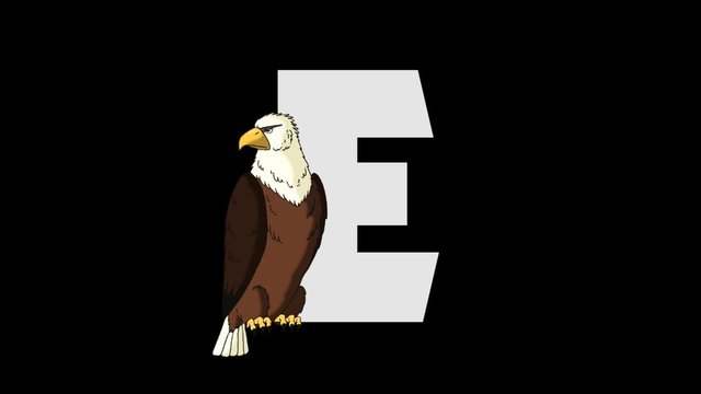 Letter E and Eagle  (foreground)
Animated animal alphabet. HD footage with alpha channel. Animal in a foreground of letter.