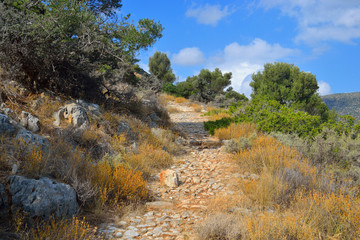 Summer landscape in Crete.
