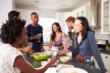 Group Of Friends Enjoying Pre Dinner Drinks At Home