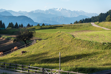 Obraz premium Wanderparadies im Gebiet am Großen Stivo -Blick von S. Antonio nach norden in die Bergwelt