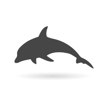 Dolphin Silhouette icon