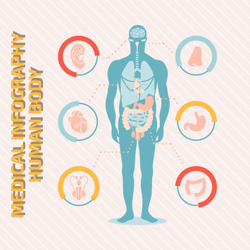 Medical infographic human body